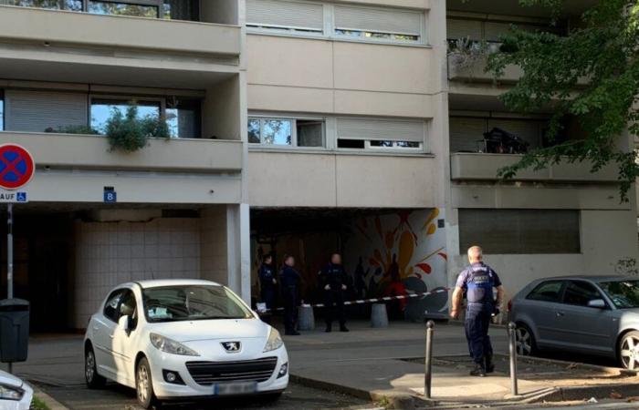 un uomo trovato morto per un colpo di pistola alla testa nel Tonchino