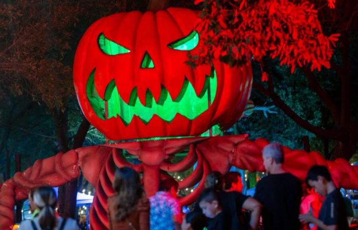 La notte di Halloween a Dublino si trasforma nel caos a causa di un brutto scherzo