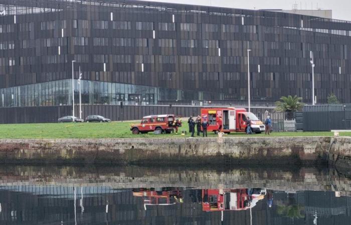 Le Havre. Un corpo recuperato nel bacino di Vauban