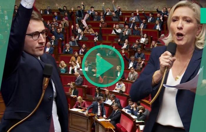 All'Assemblea, Marine Le Pen e Antoine Léaument insultano i discendenti degli immigrati