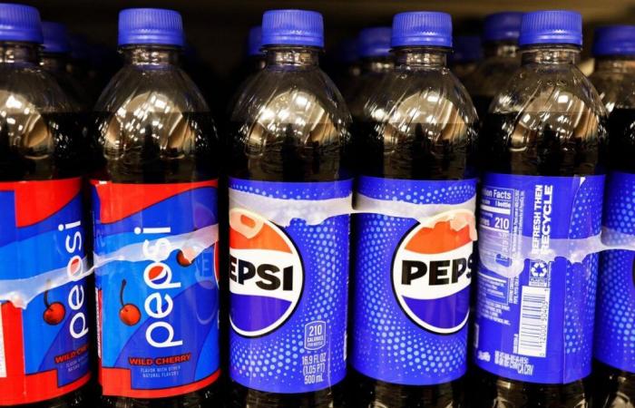 Respinto il ricorso dello Stato di New York contro PepsiCo per l’inquinamento da plastica