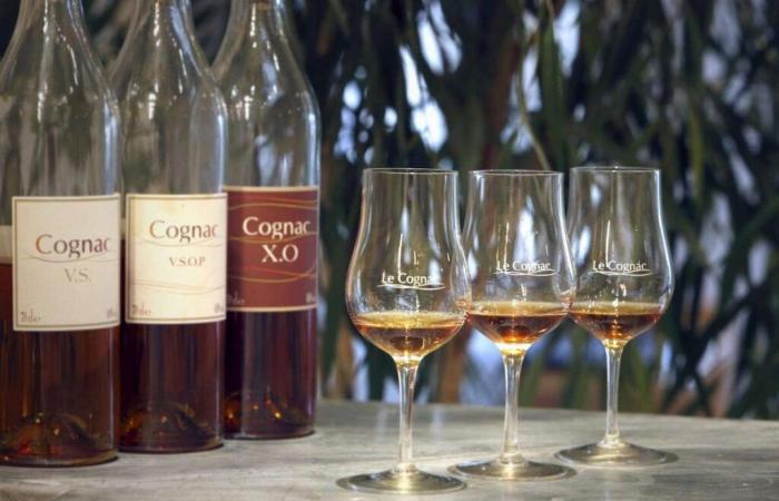 La Francia cercherà di proteggere il settore del cognac dalle rappresaglie cinesi