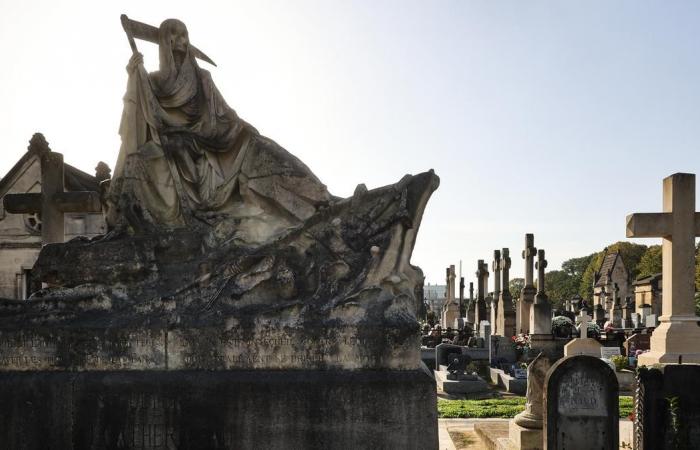 i cimiteri finiranno presto lo spazio?