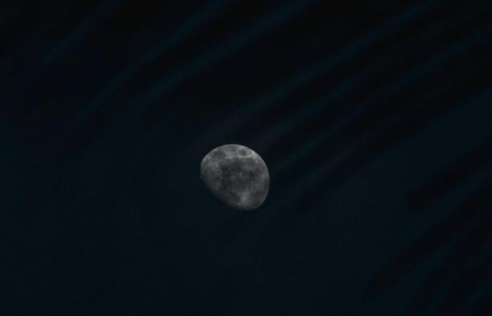 Luna Nuova di venerdì 1 novembre: questo segno particolarmente colpito