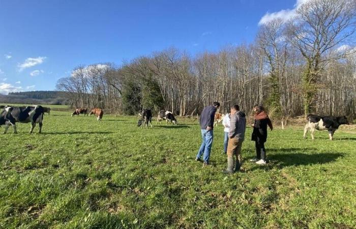 Pratiche agricole rispettose dell'ambiente: formazione gratuita nell'Orne