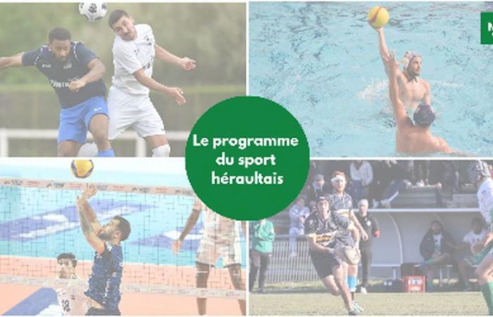 Coupe de France, forza atletica, pallavolo… Chiedete il programma dei club dell'Hérault questo fine settimana