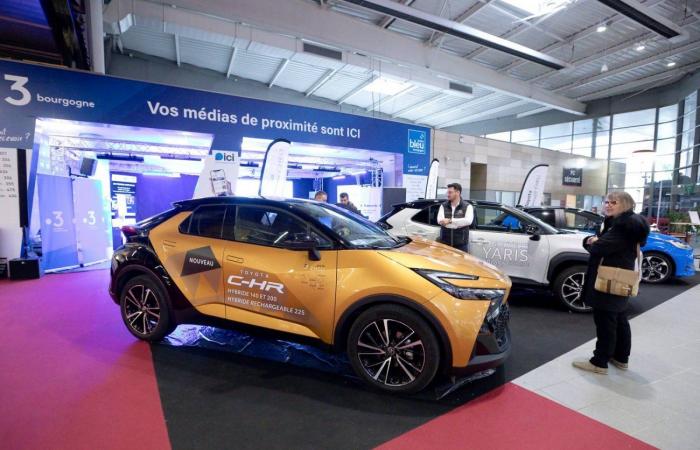 FIERA DI DIGIONE: Il nuovo corridoio degli Epicurei migliora l'esperienza dei visitatori