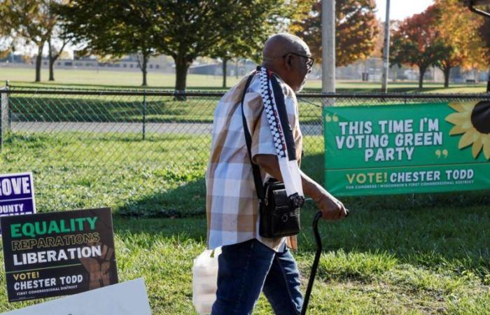 I Verdi europei chiedono alla candidata Jill Stein di dimettersi in favore di Kamala Harris