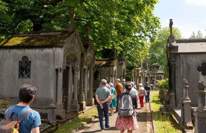 i 3 migliori cimiteri in cui è bello passeggiare nell'Hauts-de-France