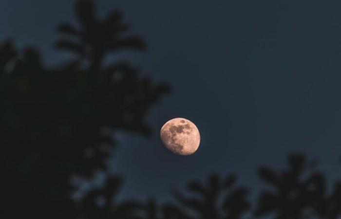 La luna nuova del 1 novembre avrà un grande impatto su questi segni