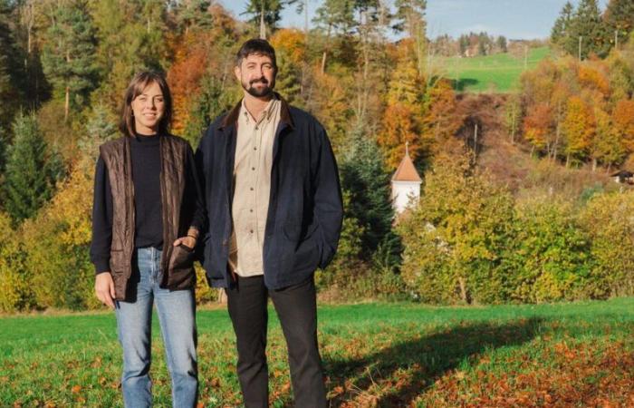 Ristorante a Losanna: Qualcosa di nuovo all’Auberge de Montheron