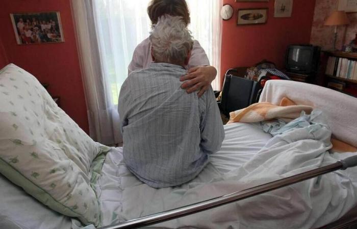 L'assistente di vita ha rubato soldi a una signora di 95 anni che la impiegava a Mayenne