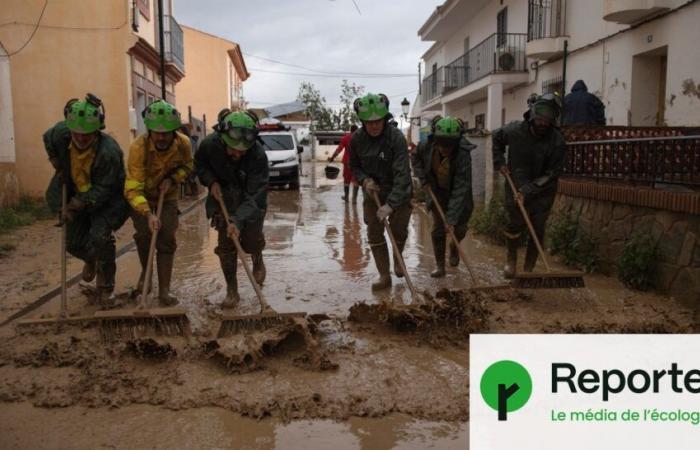 “Stiamo pagando 150 anni di brutale urbanizzazione”