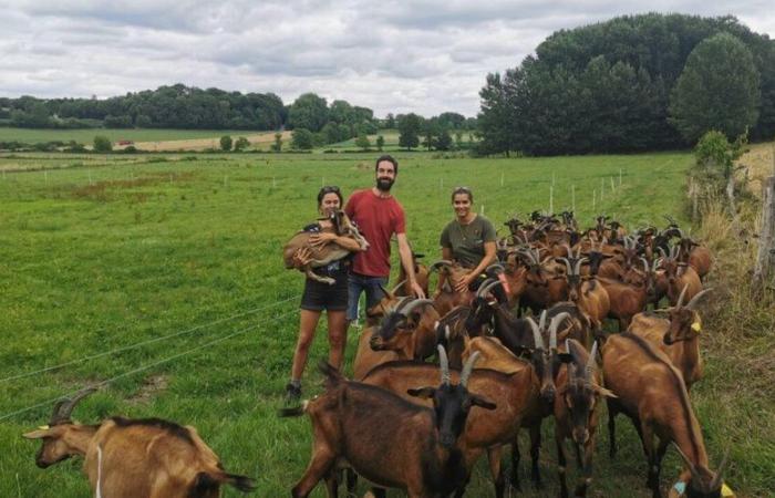 Dove e cos'è questo festival “Alimenterre” che propone quattro incontri a novembre nell'Aveyron?