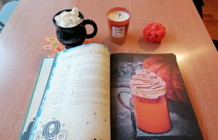 [Critique livre] Gastronogeek: gli elisir incantati Disney