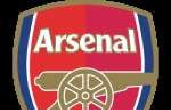 Scivolo dell'Arsenal a Newcastle – Premier League – J10 – Newcastle-Arsenal (1-0)