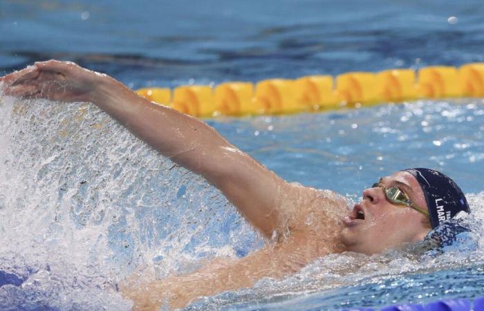 terza tripletta ai Mondiali di nuoto per il prodigio del Tolosa