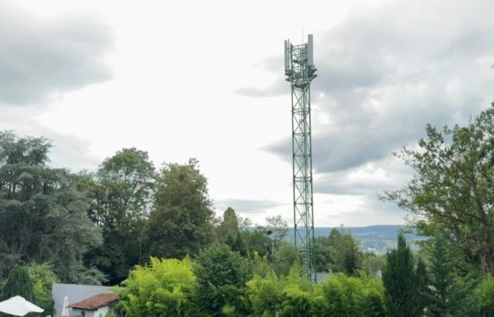 un collettivo si oppone all'installazione di un'antenna 5G in Vert