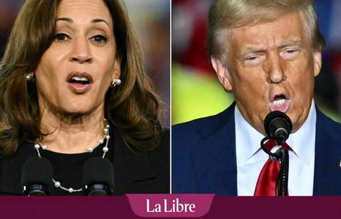 Elezioni americane tra Kamala Harris e Donald Trump: un candidato in testa nei sondaggi finali