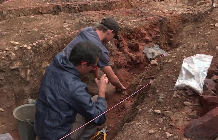 archeologi, studenti e volontari scoprono un forte medievale