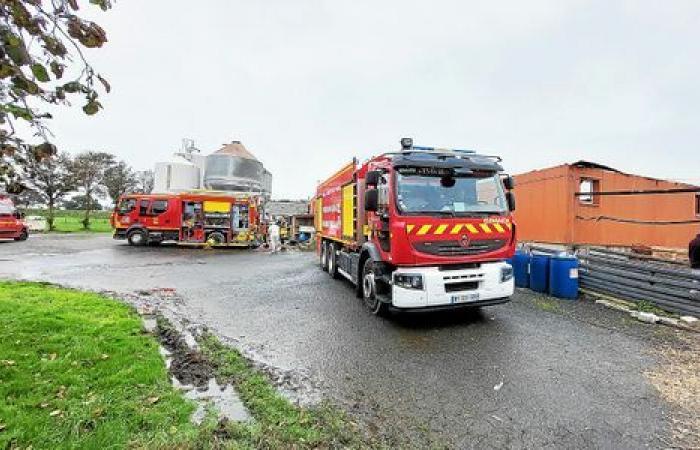 A Lamballe-Armor, 2.000 suinetti e 90 scrofe muoiono in un incendio in un allevamento