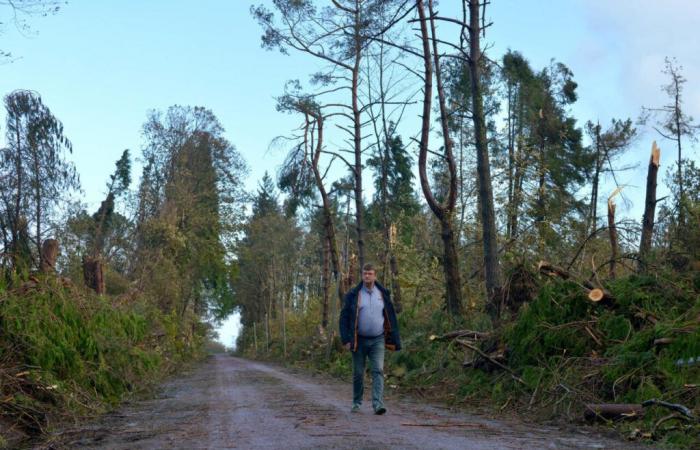 un anno fa, la Manica subì l’ira di una “bomba meteorologica”