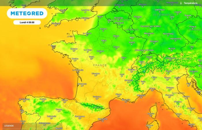 che tempo è previsto? Le magliette verranno rilasciate?