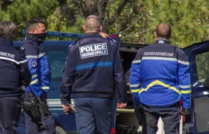 Traffico di droga: registrati 182 narcomicidi in sei mesi: Notizie