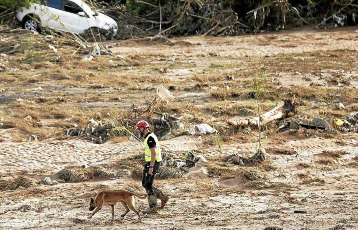 Alluvioni in Spagna: continua la ricerca dei corpi con nuovi rinforzi [Vidéo]