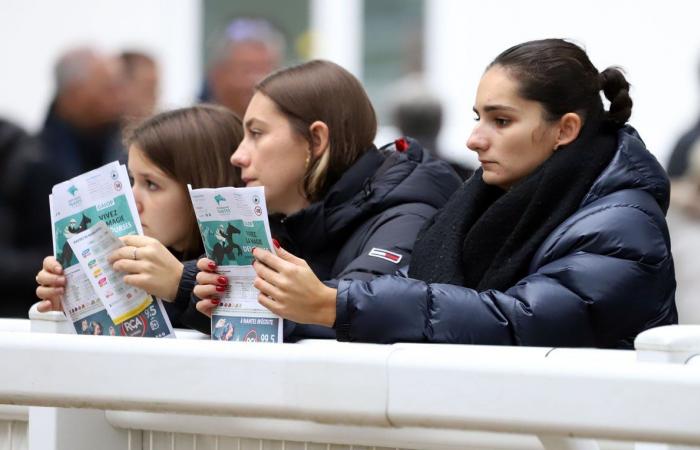 Rashford, Le Riskel, Color Ritano: tutto sull'incontro del Grand Prix de Nantes Défi du Galop