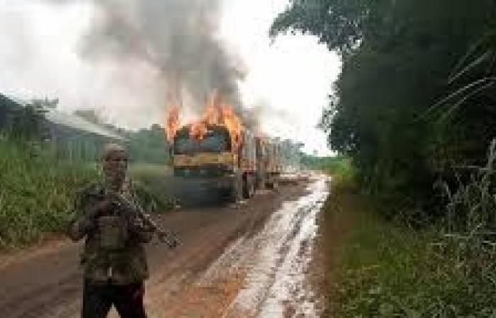 Irumu: 118 ostaggi fuggono dalle ADF durante un’operazione congiunta FARDC-UPDF