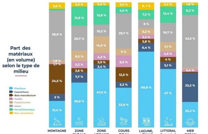 quali sono i 10 principali rifiuti presenti in natura in Francia?