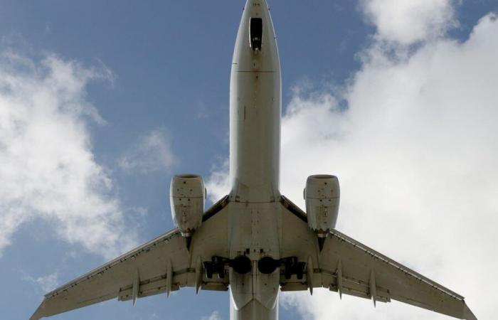 un aereo diretto a New York effettua un atterraggio d'emergenza a causa di strani rumori nella stiva