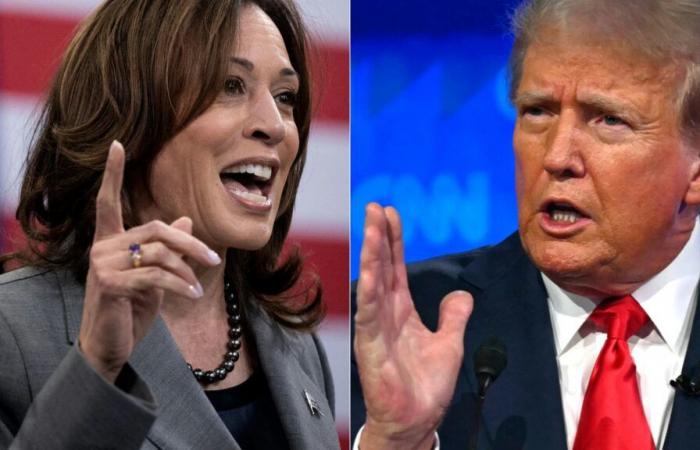 Tecnologia, industria, energia… Chi sostiene Kamala Harris, chi sostiene Donald Trump?