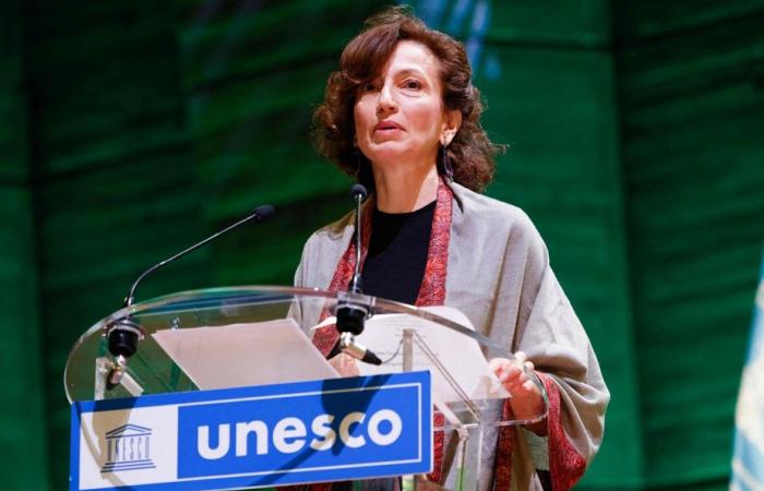 UNESCO | Gli omicidi di giornalisti rimangono per lo più impuniti