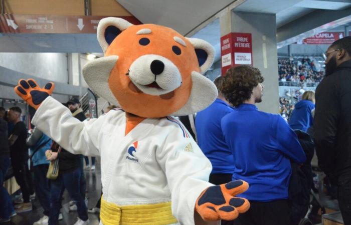 Il Colosseo con i colori dei Campionati Francesi di Judo… un successo evidente! – info-chalon.com