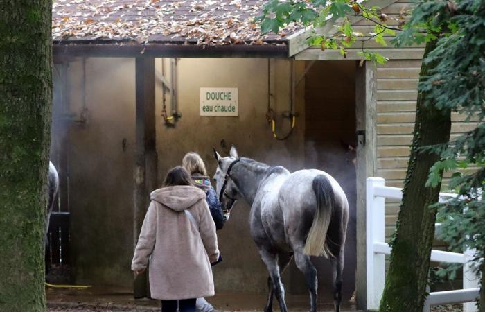 Rashford, Le Riskel, Color Ritano: tutto sull'incontro del Grand Prix de Nantes Défi du Galop