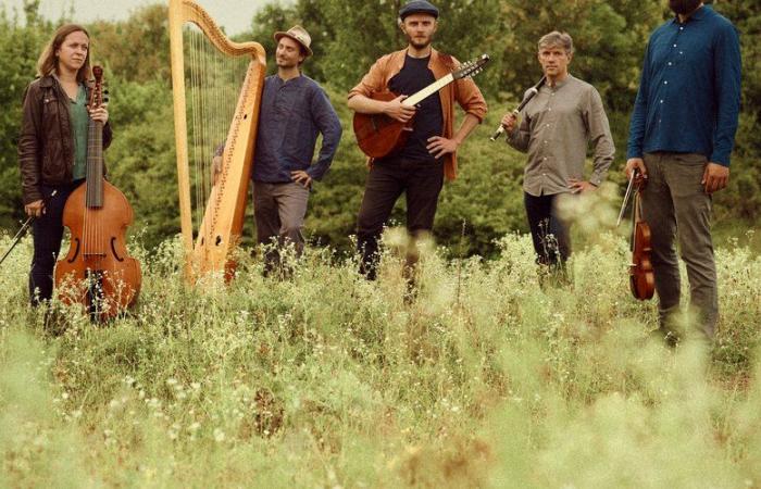 Musica celtica e gaelica con le Arti Rinascimentali a Tolosa