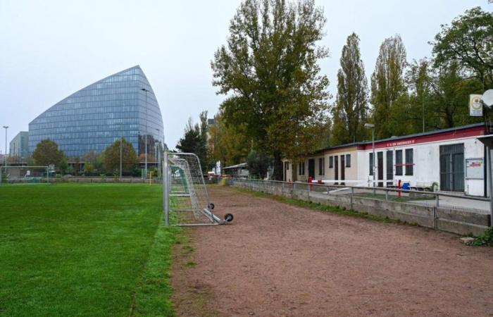 Mainwasen per rinnovamento ferroviario – I club di Francoforte devono traslocare