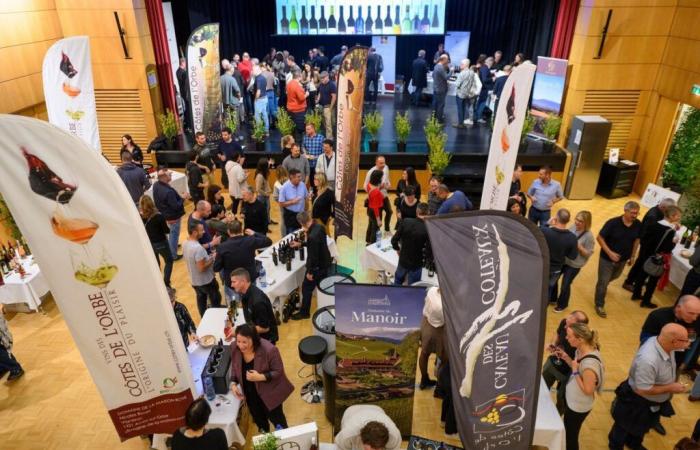 Ai piedi del Giura: fiera del vino della Côtes de l'Orbe