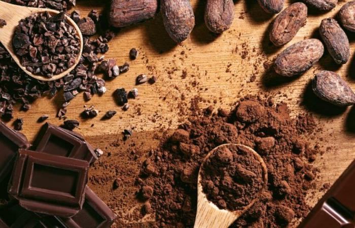 cioccolato in tutte le sue forme ad Agde