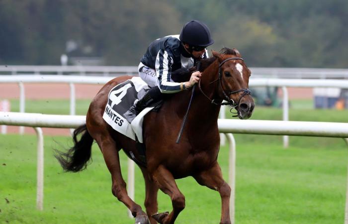 Rashford, Le Riskel, Color Ritano: tutto sull'incontro del Grand Prix de Nantes Défi du Galop