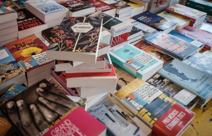 Mazarine Pingeot, Sally Rooney, Gérard de Cortanze, Pascale Dietrich… La selezione dei libri “Sud Ouest”