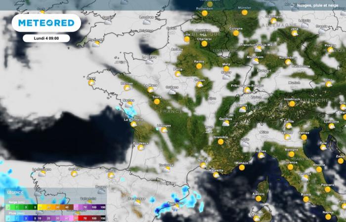 che tempo è previsto? Le magliette verranno rilasciate?