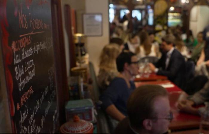 VIDEO. Caffè e bistrot, un'arte di vivere francese classificata come patrimonio culturale immateriale dell'umanità