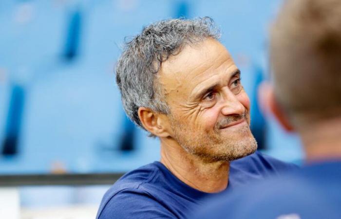 L'Arabia Saudita è pronta a fare un enorme favore a Luis Enrique?