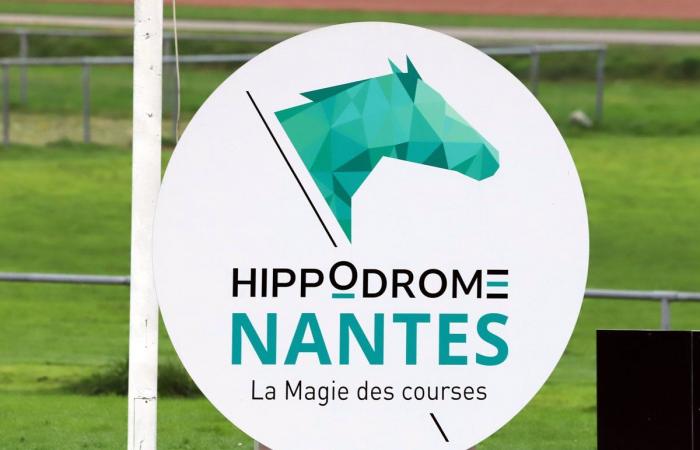 Rashford, Le Riskel, Color Ritano: tutto sull'incontro del Grand Prix de Nantes Défi du Galop