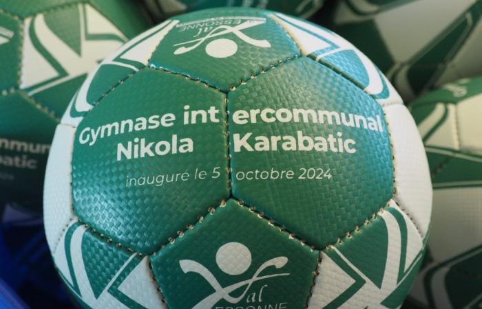 Essonne: la palestra Nikola Karabatik di Mennecy stupisce