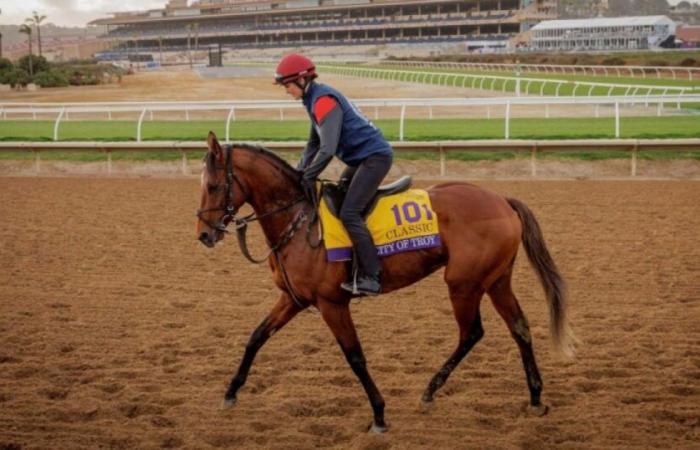 Anche per Aidan O'Brien battere gli americani sulla terra battuta resta un risultato