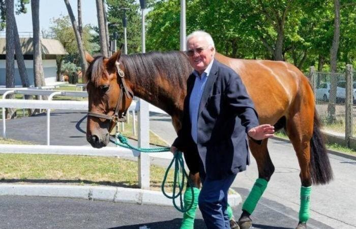 In occasione del 24° Premio Paul-Buquet, l'ippodromo dell'Argentan attira molta gente